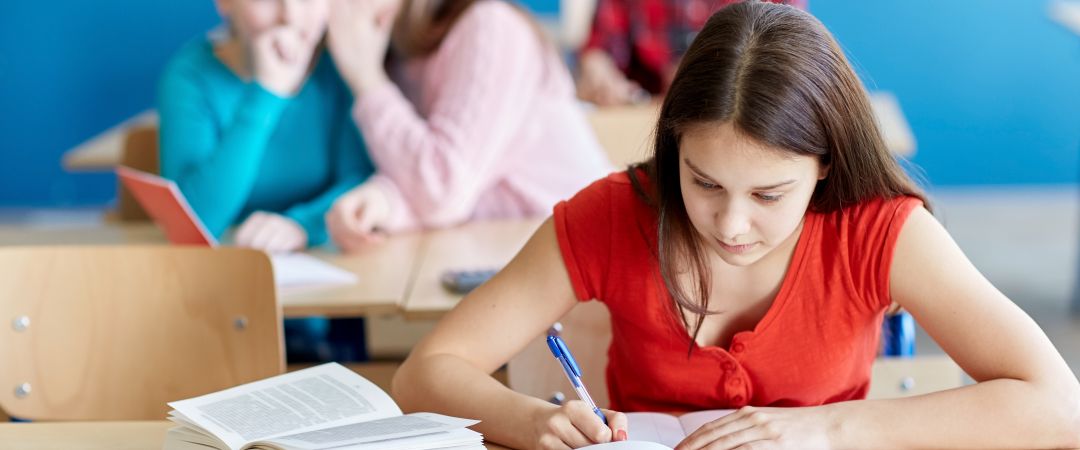 Is er op school al een Anti Pest Coördinator?